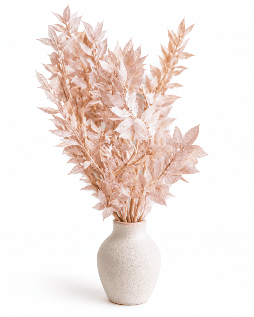 Preserved Blush Pink & Beige Ruscus Stems - 35-50cm Italian Foliage (Bunch of 5) - Dried Flower Stems - Flor Chama Do Algarve