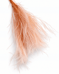 Preserved Light Pink Asparagus Fern Bunch - 9-10 Stems Pastel Floral Filler - Dried Flower Stems - Flor Chama Do Algarve