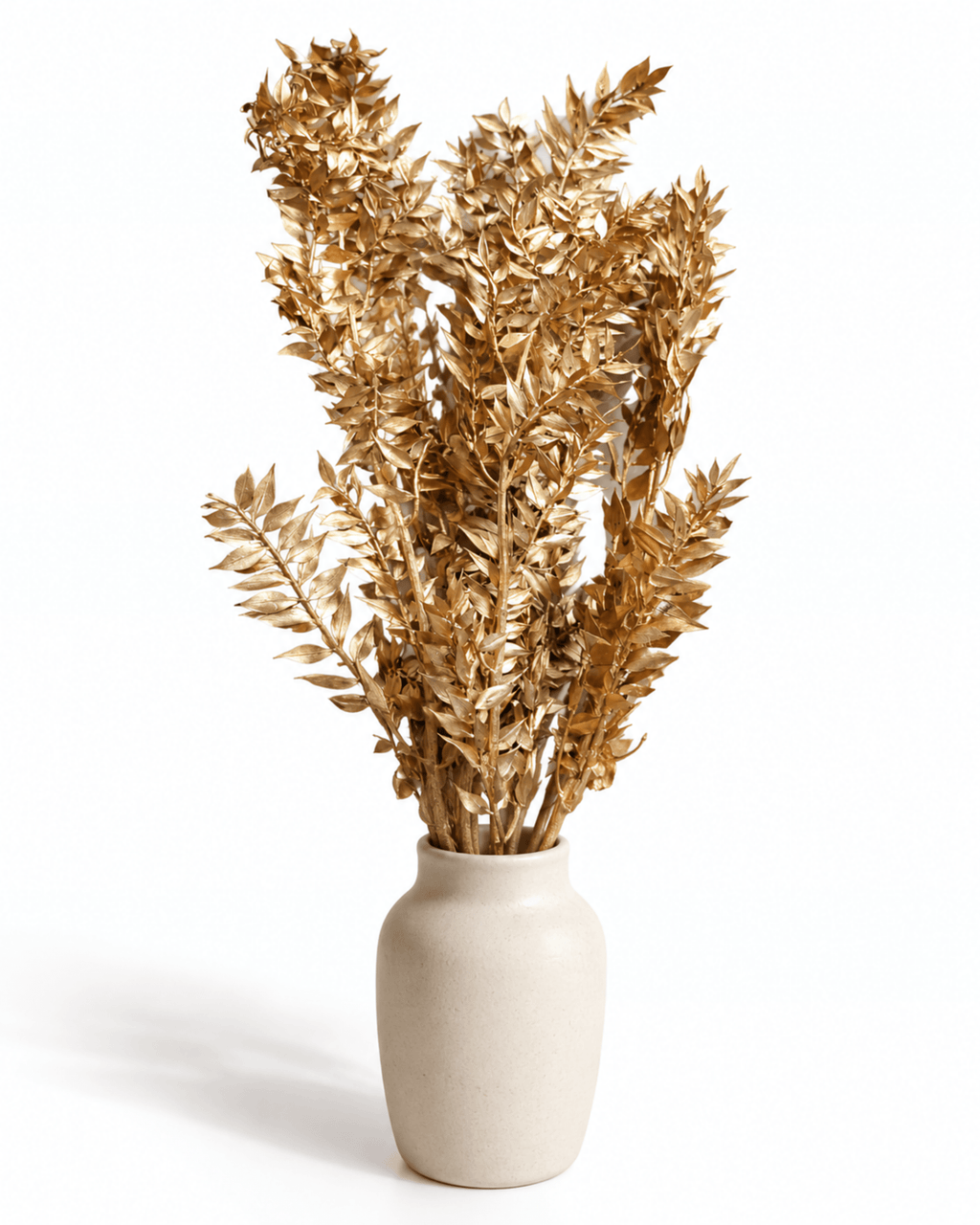 Preserved Metallic Gold Ruscus Bunch - 5 Stems 45-60 cm Italian Ruscus - Dried Flower Stems - Flor Chama Do Algarve