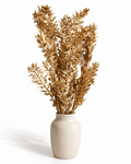 Preserved Metallic Gold Ruscus Bunch - 5 Stems 45-60 cm Italian Ruscus - Dried Flower Stems - Flor Chama Do Algarve