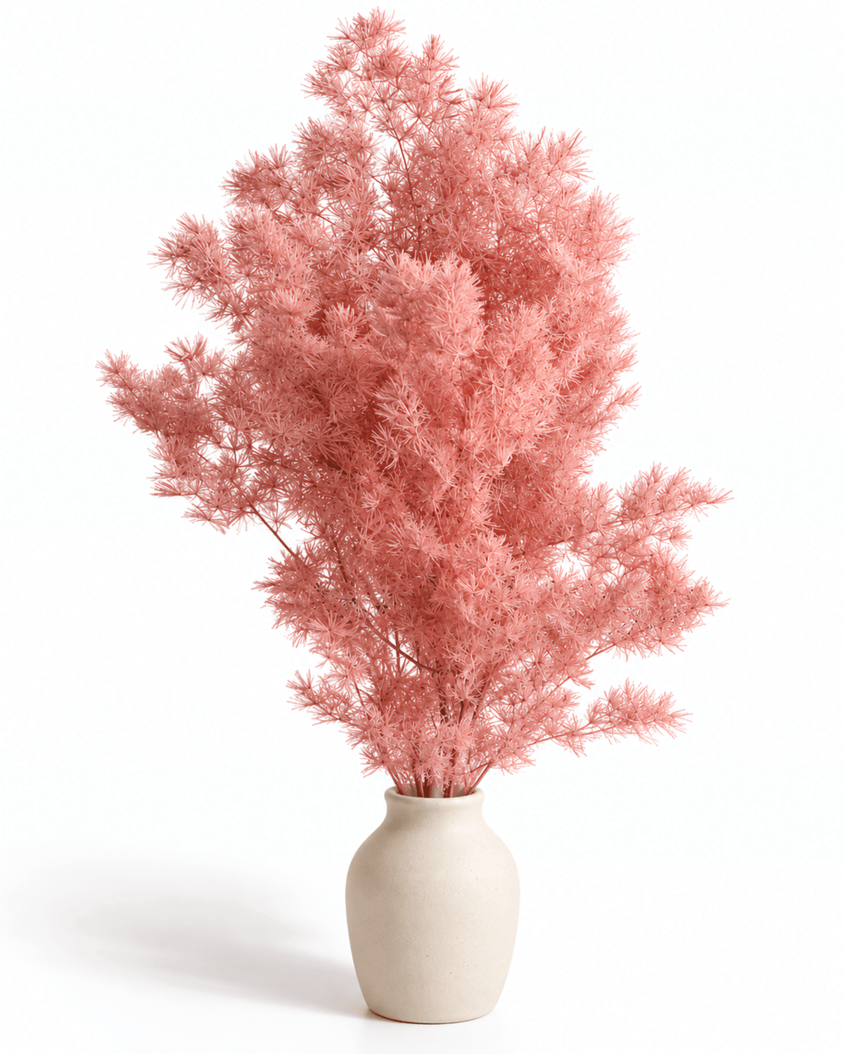 Preserved Vintage Pink Ming Fern Stems - 50cm Asparagus Foliage Bunch (50g) - Dried Flower Stems - Flor Chama Do Algarve