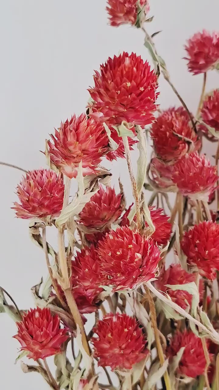 Red Gomphrena Bouquet | Dried Flower Bouquet | Preserved Flower Arrangement | Botanical Home Decor | Natural Floral Decor