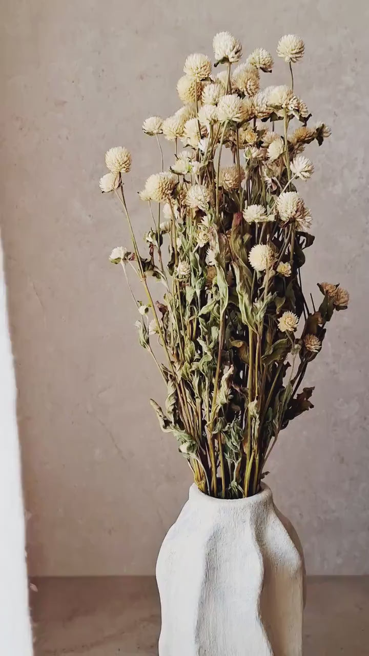 Dried Gomphrena Stems | Natural Ivory Dried Flowers | Dried Flower Material | Florist Supply | DIY Craft Flowers