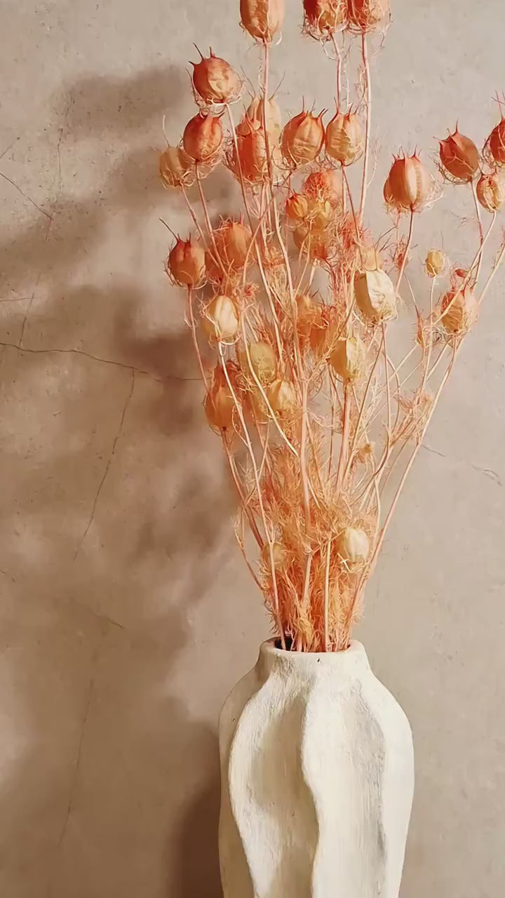 Blush Pink Nigella Pods | Dried Flower Pods | Florist Supply | Preserved Botanical Stems | Wedding Flowers