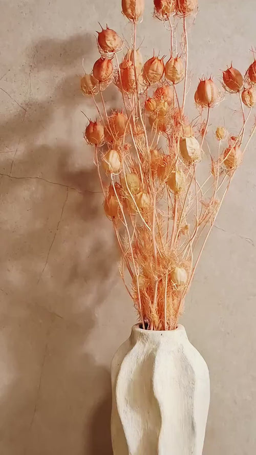 Blush Pink Nigella Pods | Dried Flower Pods | Florist Supply | Preserved Botanical Stems | Wedding Flowers