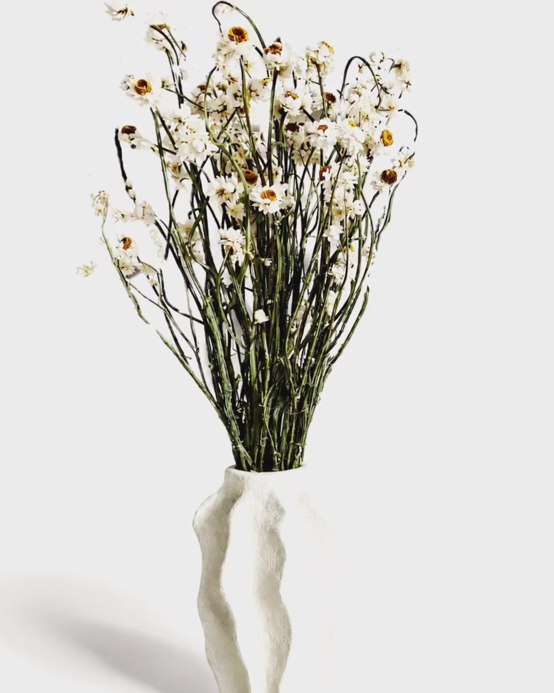White Ammobium Bouquet