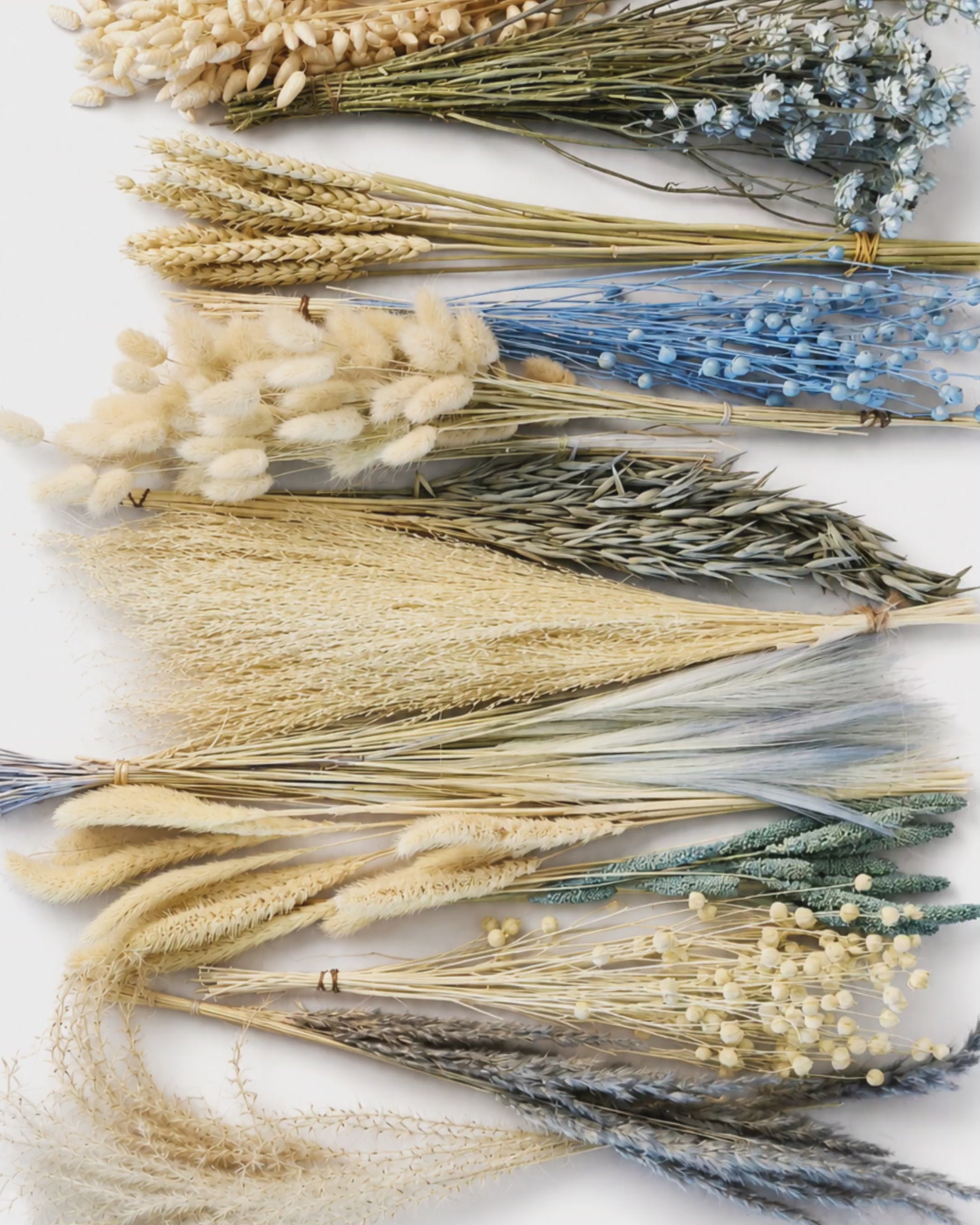 Beige & Blue Dried Flower Box for Crafts