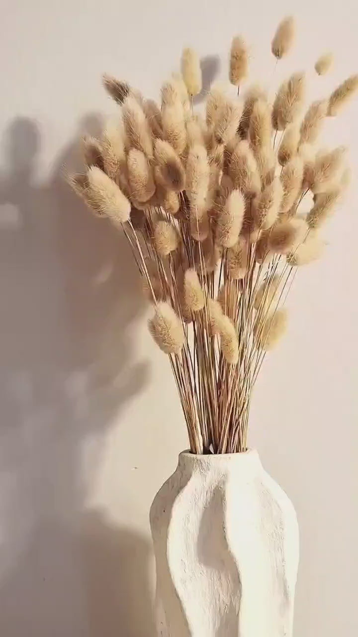 Natural Beige Lagurus Bouquet | Bunny Tails Dried Flowers | Soft Neutral Bouquet | Minimalist Scandinavian Decor | Boho Vase Styling