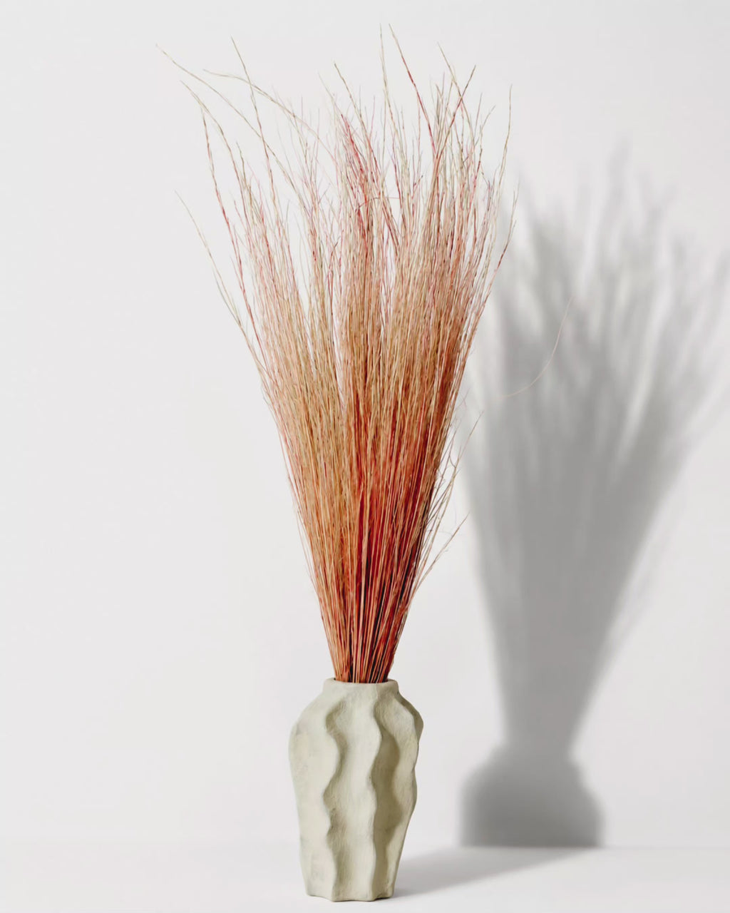 Peach Coral Pony Grass