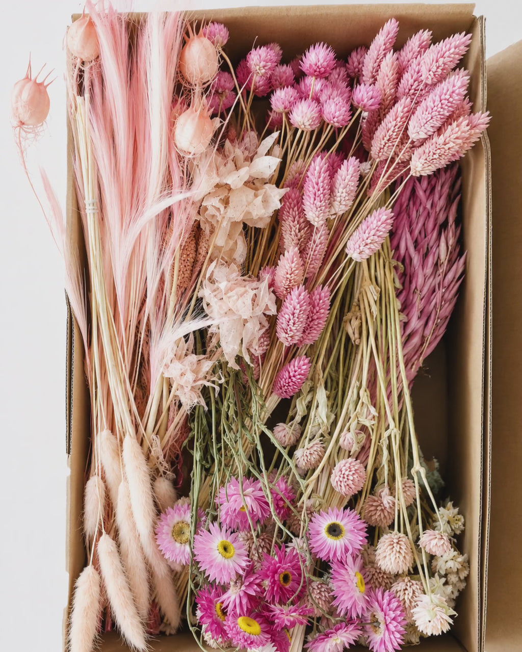 Pink Dried Flower Box for Crafts