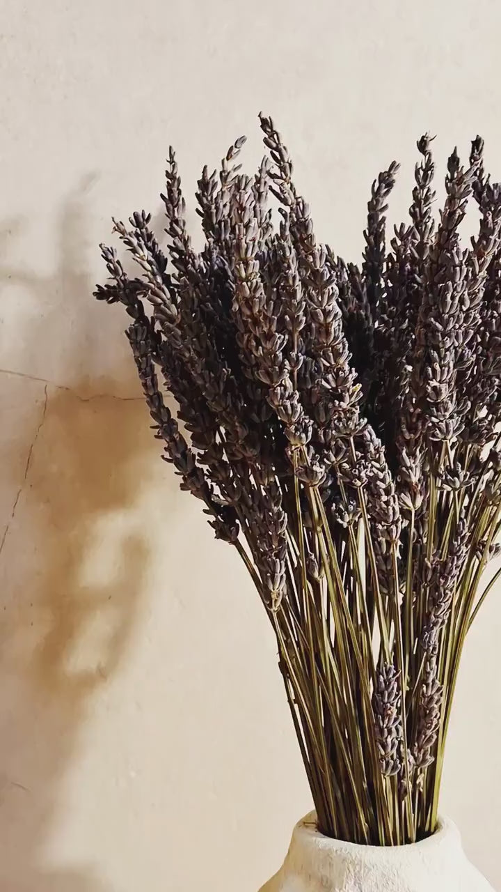 Dried Lavender Stems | Purple Dried Flowers | Floral Supply | Florist Material | Botanical Stems