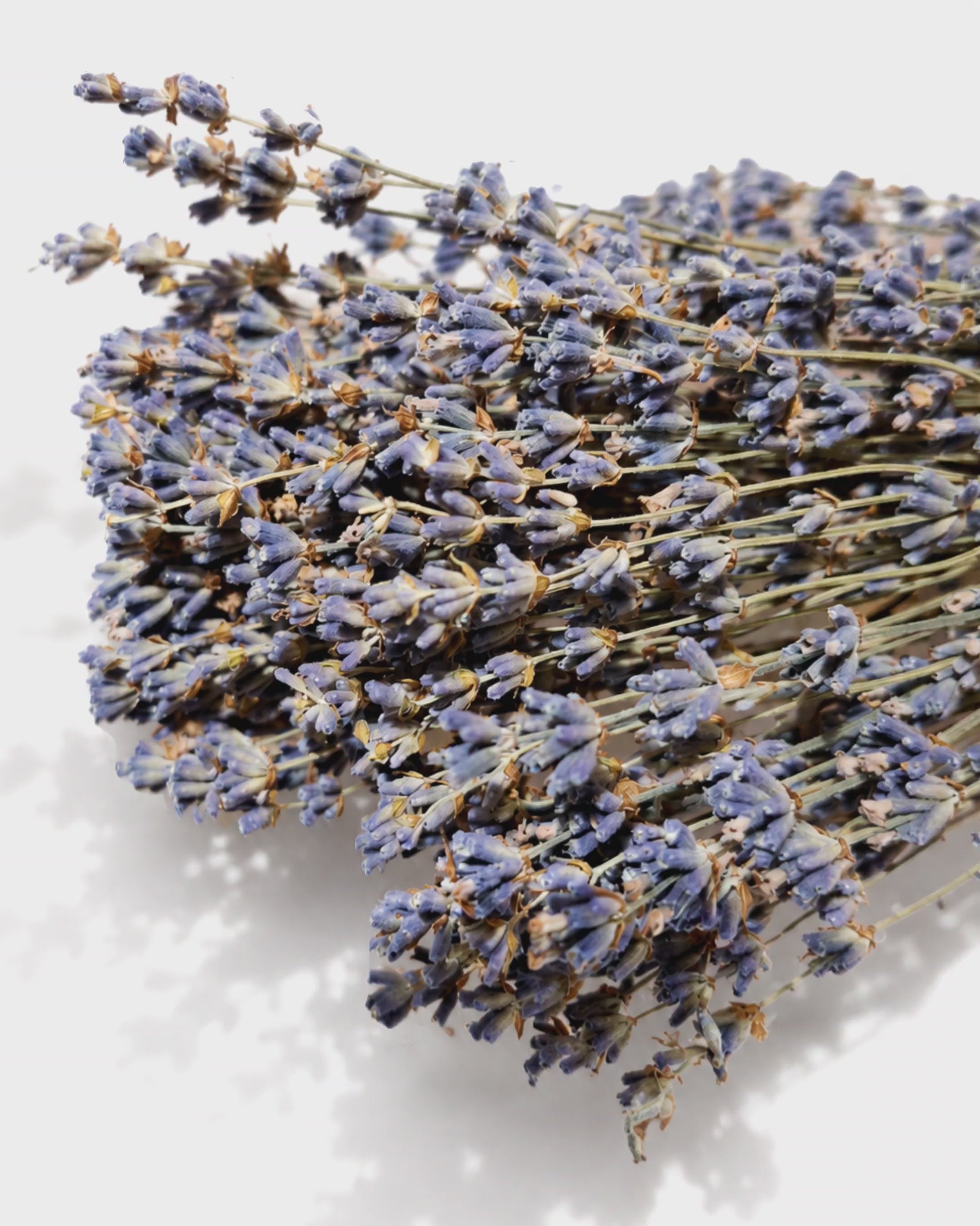 Dried Lavender Bundle - Natural Aromatic Lavender Bunch