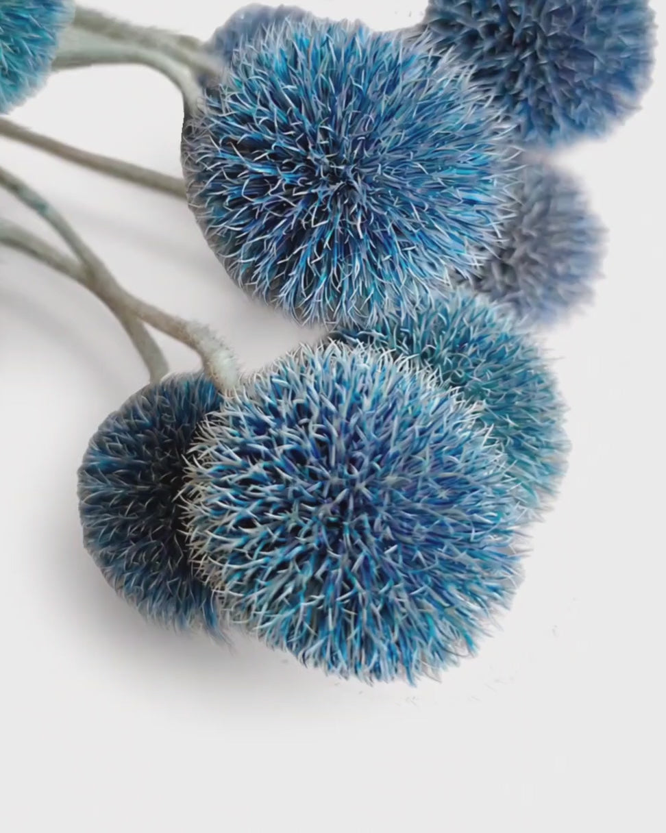 Dried Blue Echinops Stems - 10 Globe Thistle Flowers