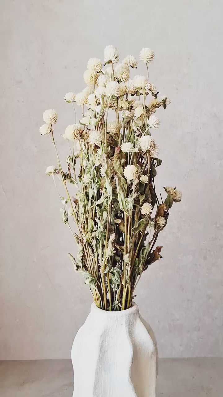 Ivory Dried Gomphrena Bouquet, 10 Stems as Shown, Preserved Flowers, Neutral Minimalist Decor, Boho Home Styling, Ready to Ship