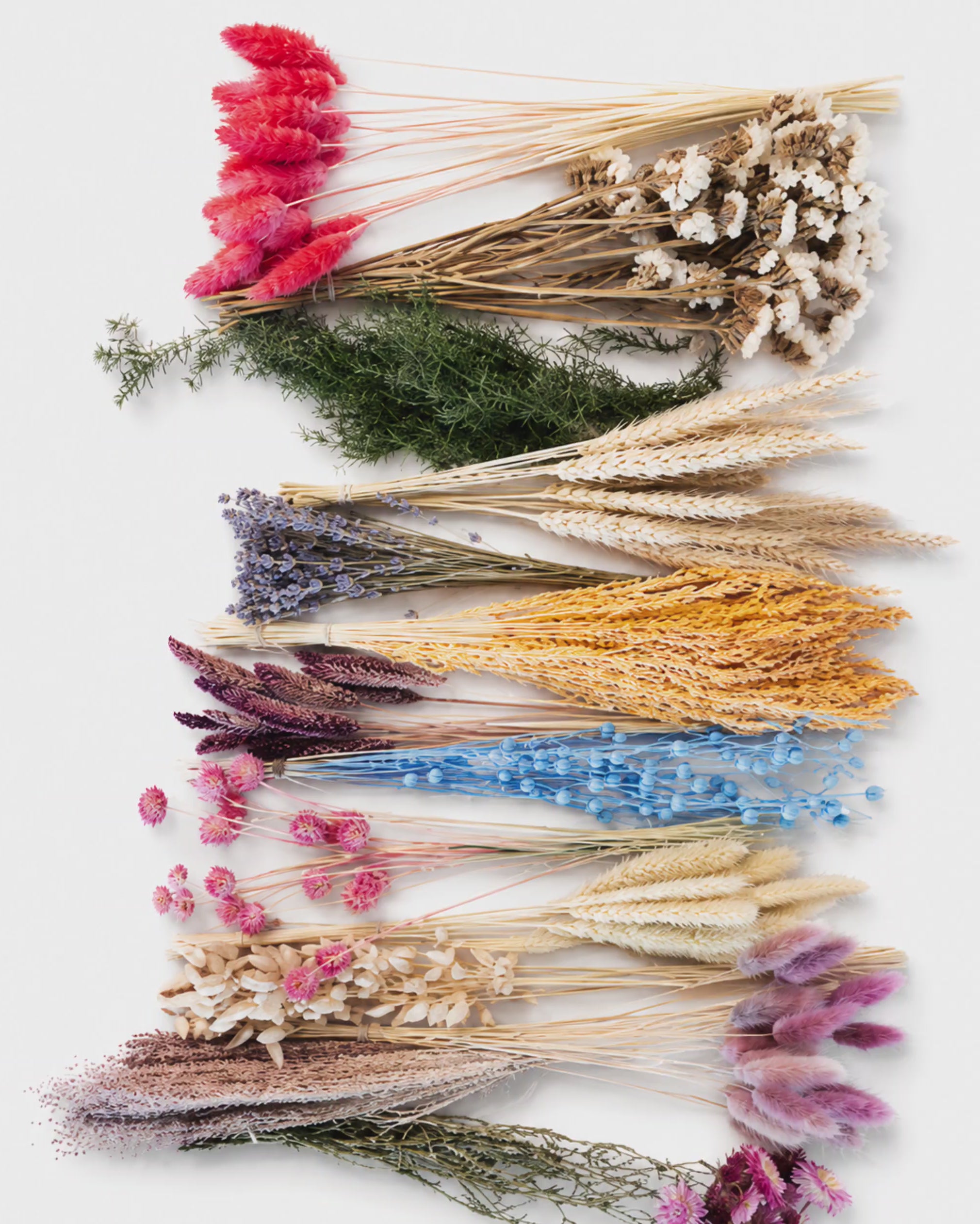 Rainbow Dried Flower Box