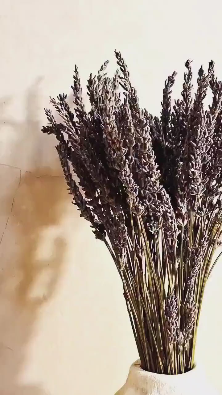 Dried Flower Bouquet | Preserved Lavender Bouquet | Minimalist Botanical Arrangement | Natural Home Decor