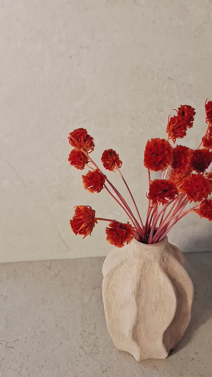 Red Stabilized Scabiosa Pods Stems | Preserved Flower Stems | Florist Supply | DIY Craft Flowers
