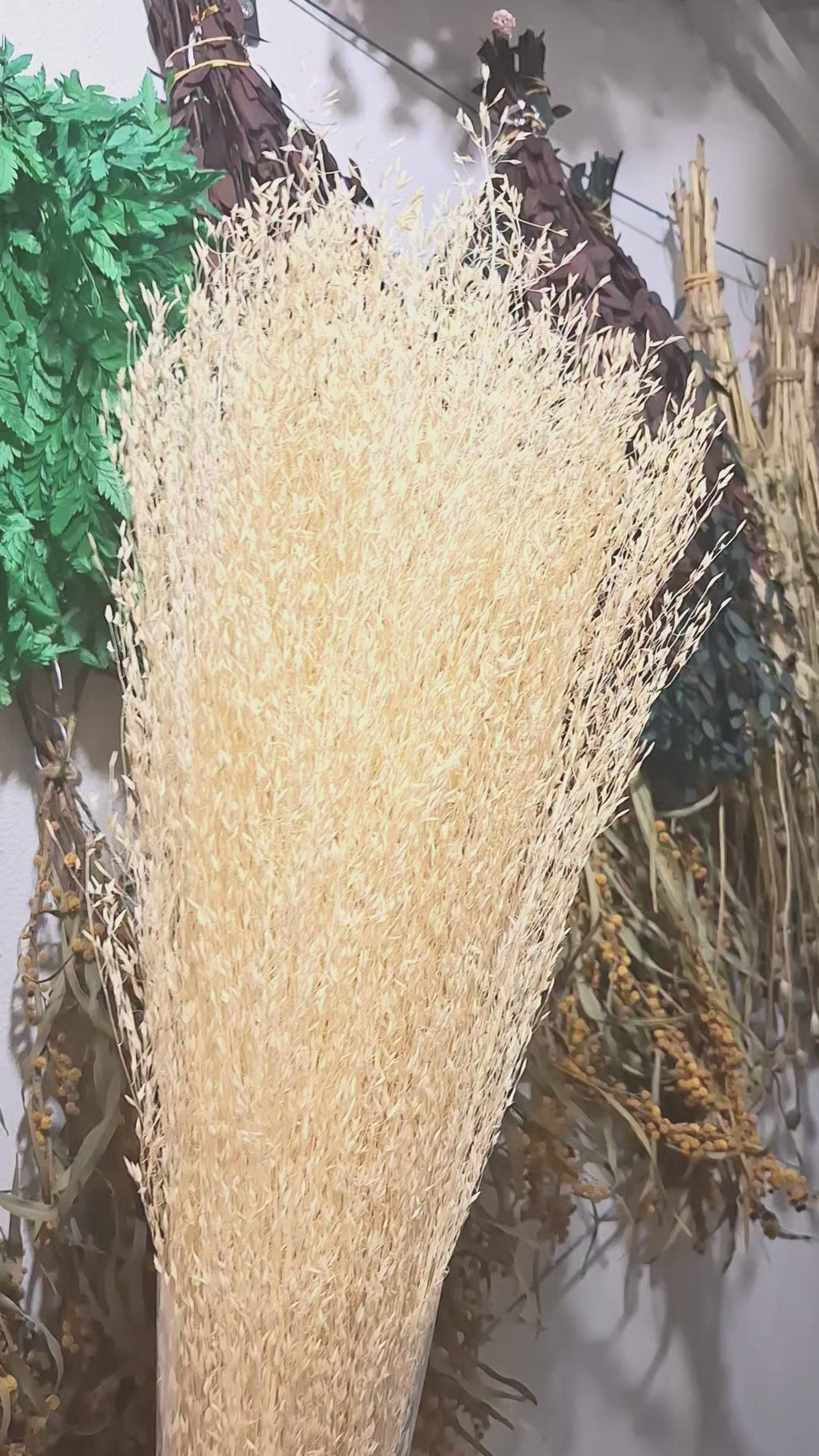 Tall Rice Grass Bundle