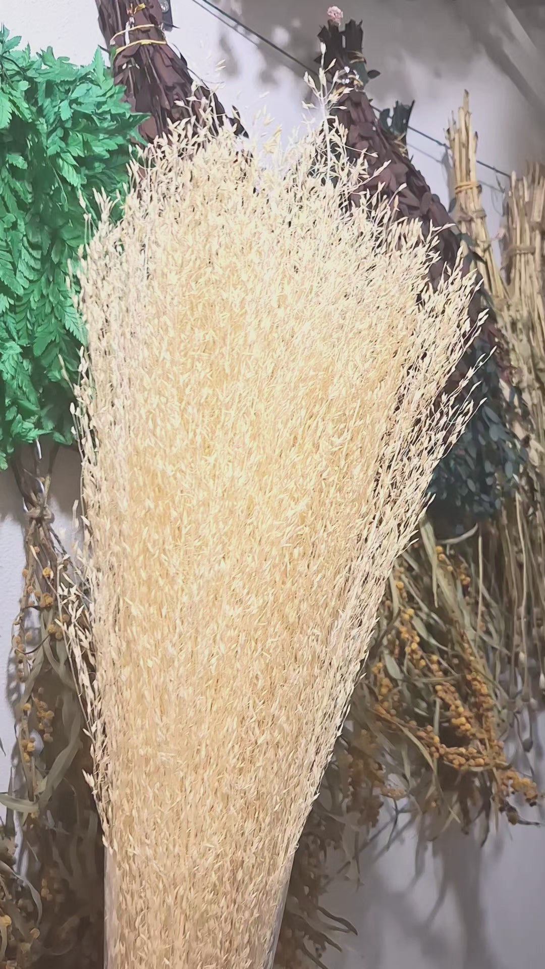 Tall Rice Grass Bundle