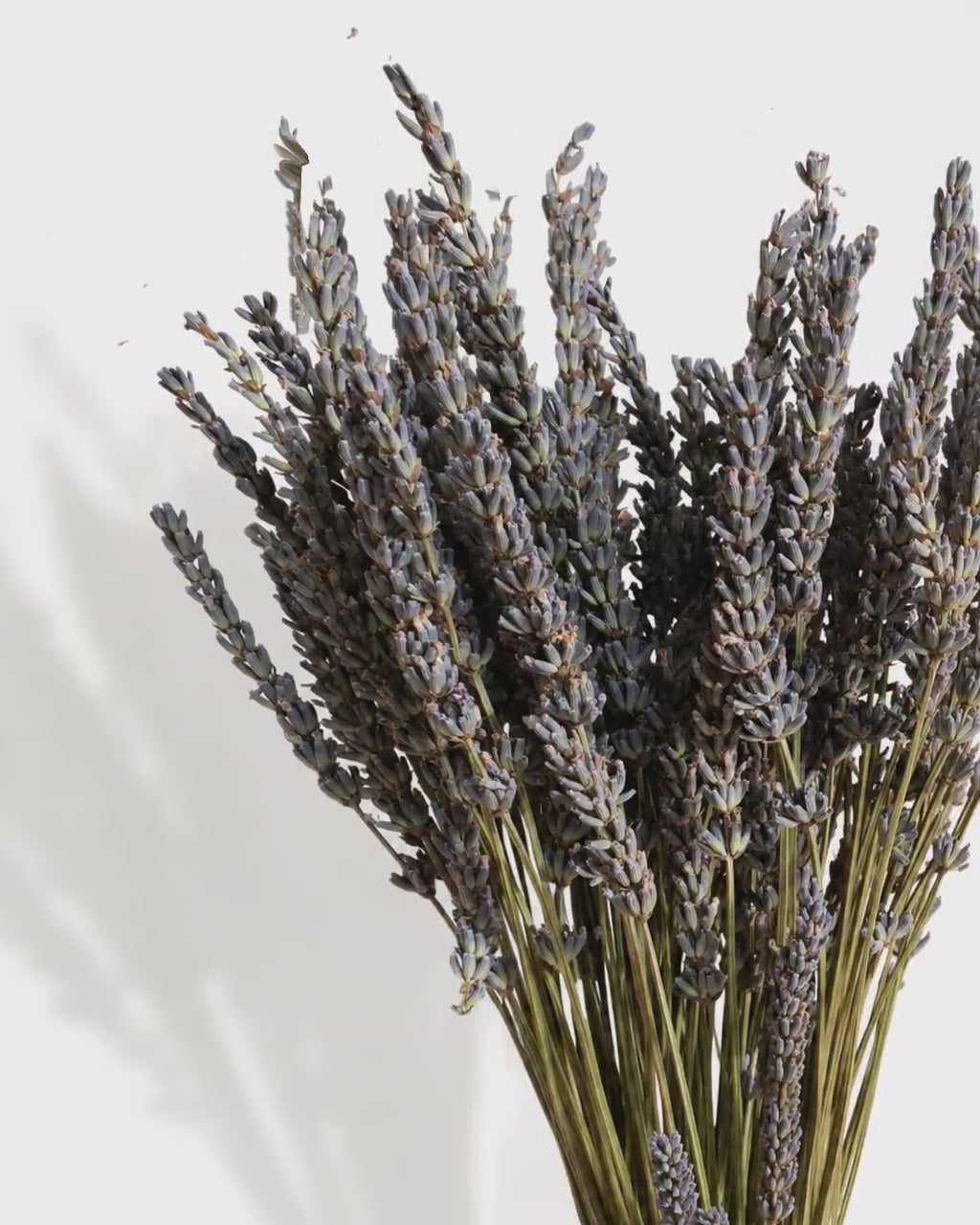 Dried Lavender Bouquet