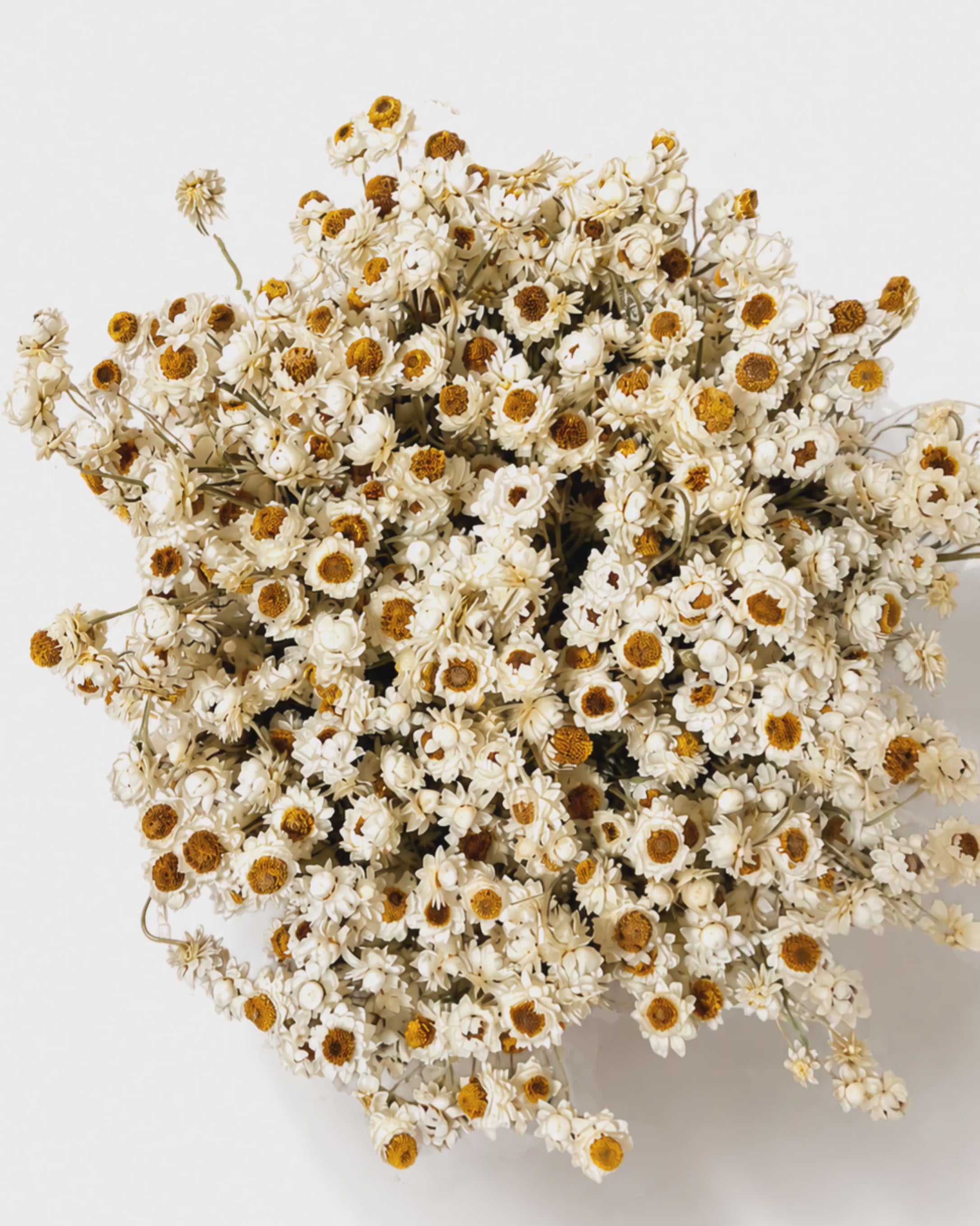 Dried Flower Basket