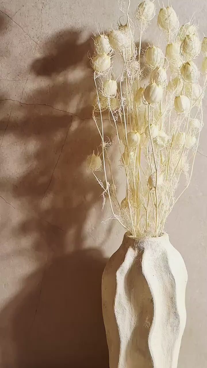 Preserved White Nigella Pods | Stabilized Nigella Stems | Botanical Floral Supply | Florist Material