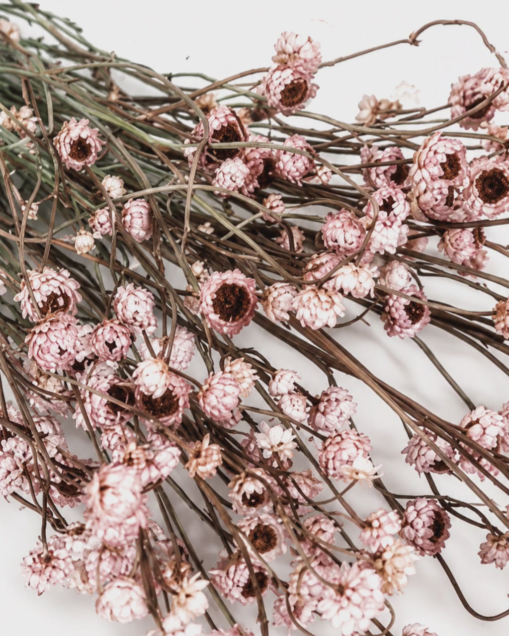 Dusty Rose Dried Flower Bouquet
