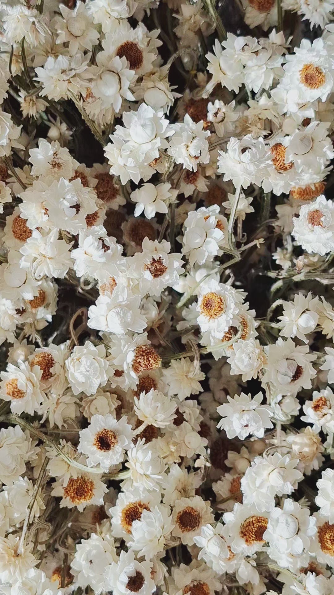 Scandinavian Dried Flower Basket