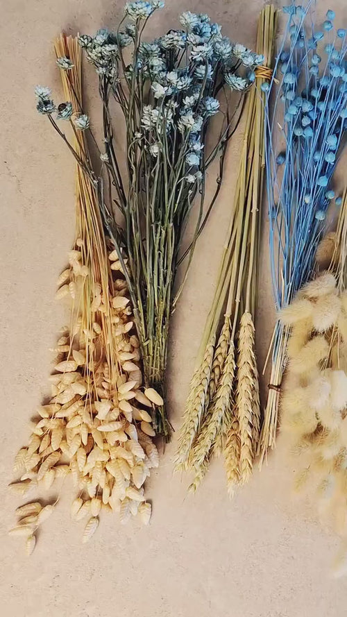 Blue Beige Dried Flower Craft Box – Natural Dried Flowers Mix for DIY Decor, Floral Arrangements, Resin Art & Wedding Crafts