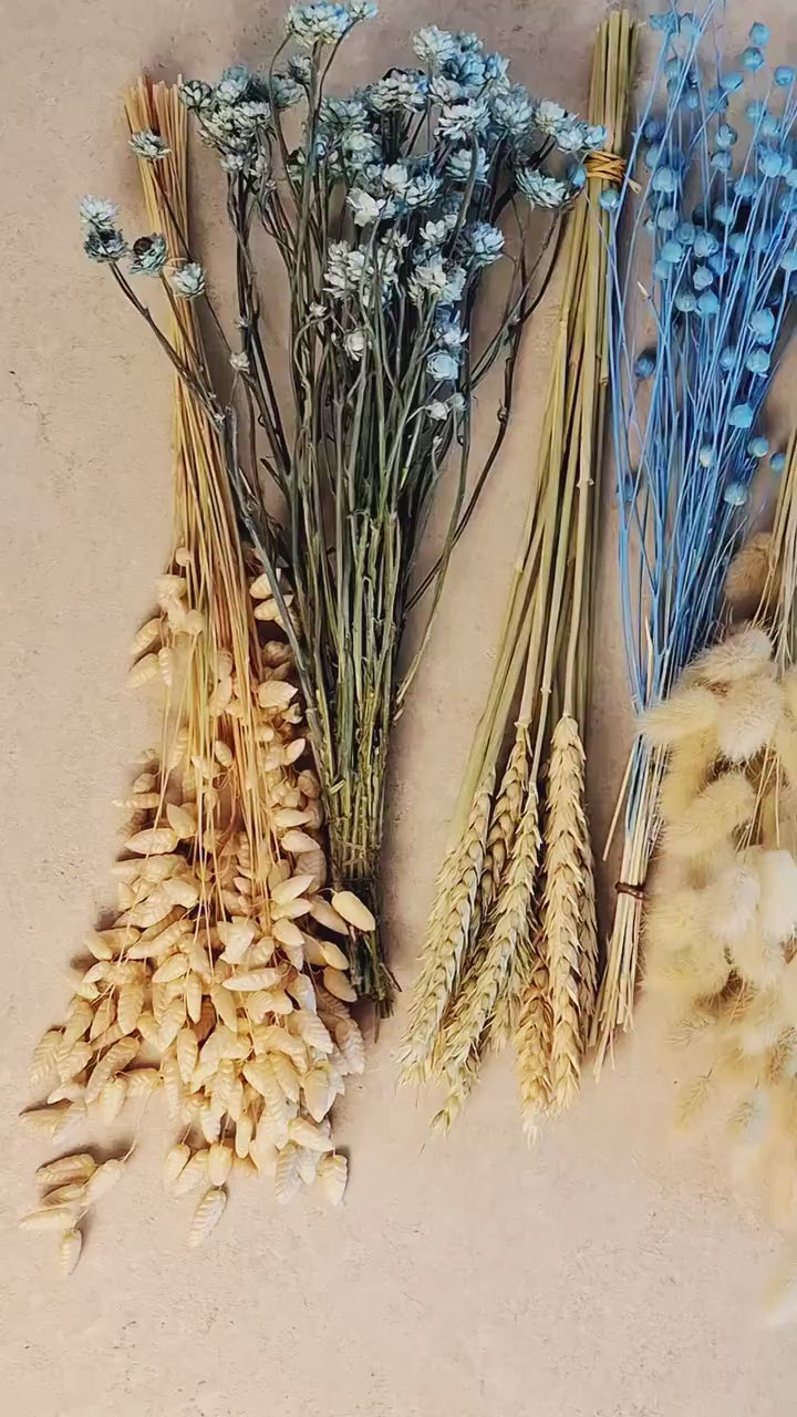 Blue Beige Dried Flower Craft Box – Natural Dried Flowers Mix for DIY Decor, Floral Arrangements, Resin Art & Wedding Crafts