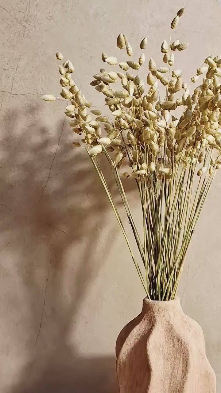Natural Dried Briza Maxima Green | Bunny Tail Grass Alternative | Dried Grass Stems | Floral Supply
