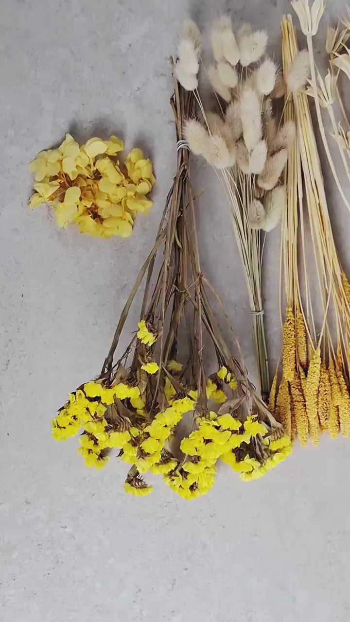 Yellow Beige Dried Flower Box for Crafts – Neutral Botanical DIY Kit, Natural Floral Supply for Resin Art & Home Decor
