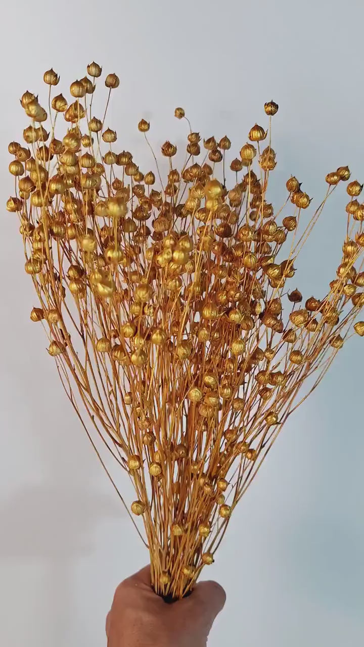 Gold Dried Flax Stems | Metallic Dried Flowers | Preserved Flax Bundle | Florist Supply | Gold Botanical Stems