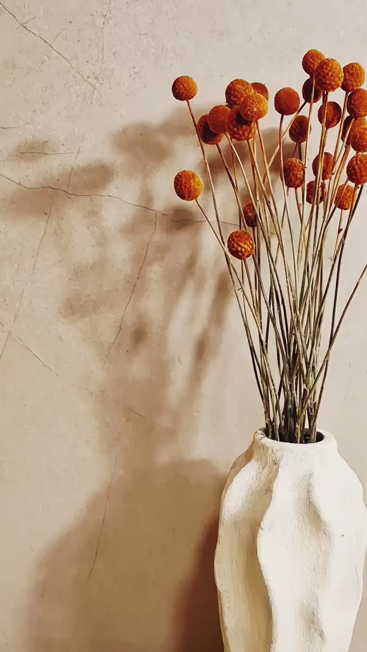 Dried Craspedia Stems Light Brown Billy Buttons | Natural Dried Flowers | Floristry Supply | DIY Craft Flowers | 15 Stems