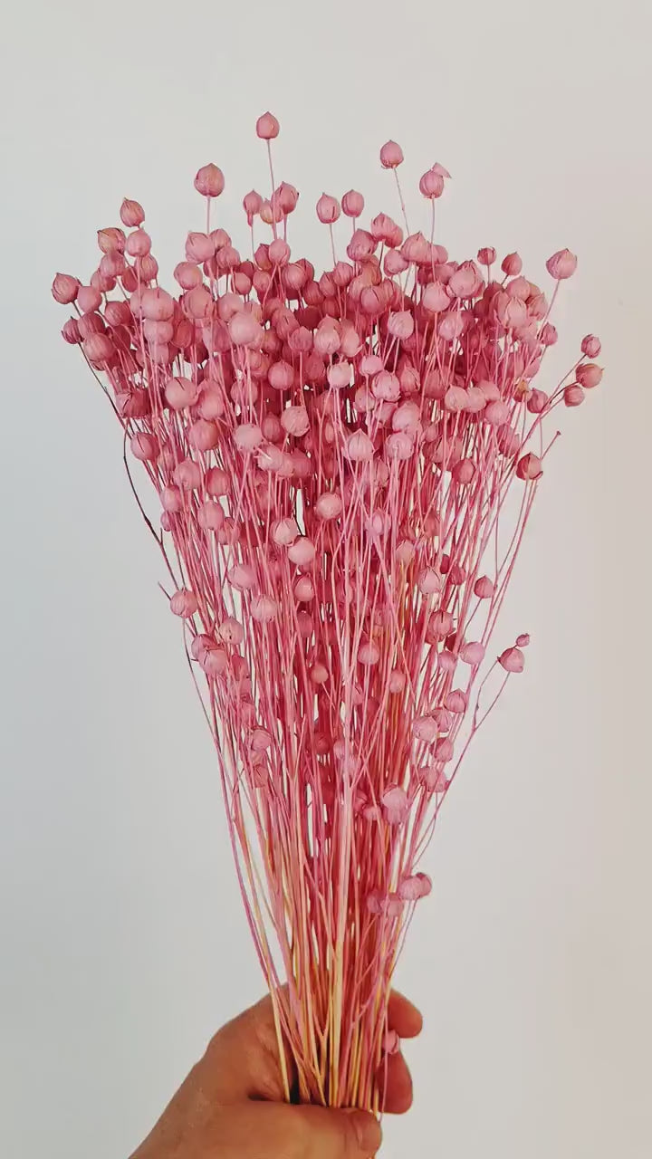 Pink Dyed Flax Stems 40–45 cm | Preserved Flax Bundle | Dried Flower Stems | Florist Supply