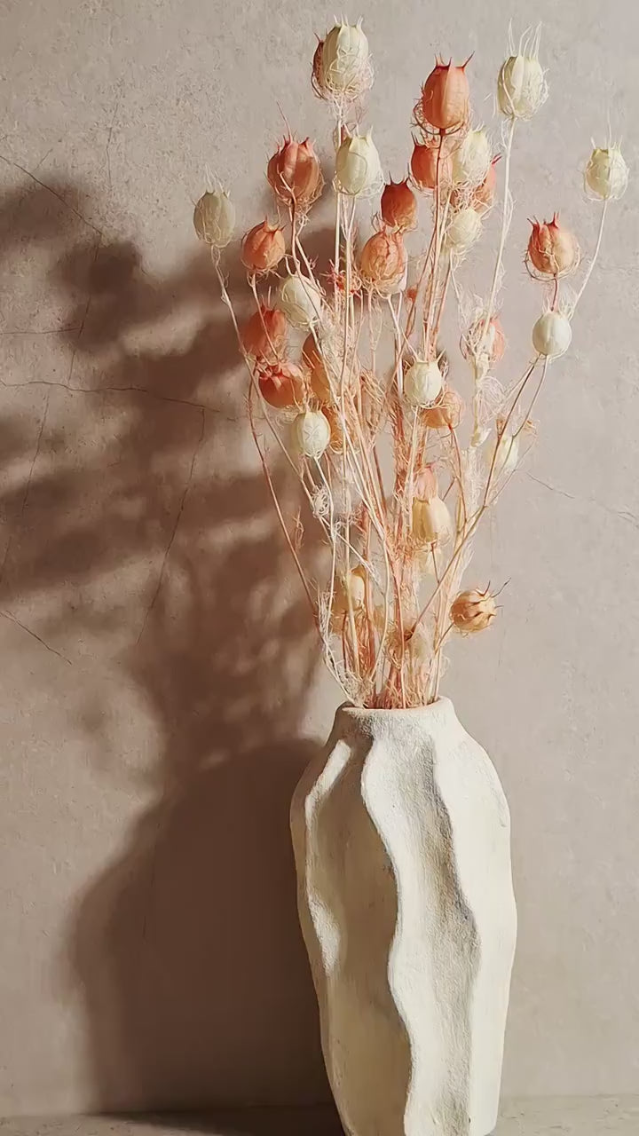 Preserved White Pink Nigella Pods | Two Tone Nigella Stems | Botanical Floral Supply | Florist Material