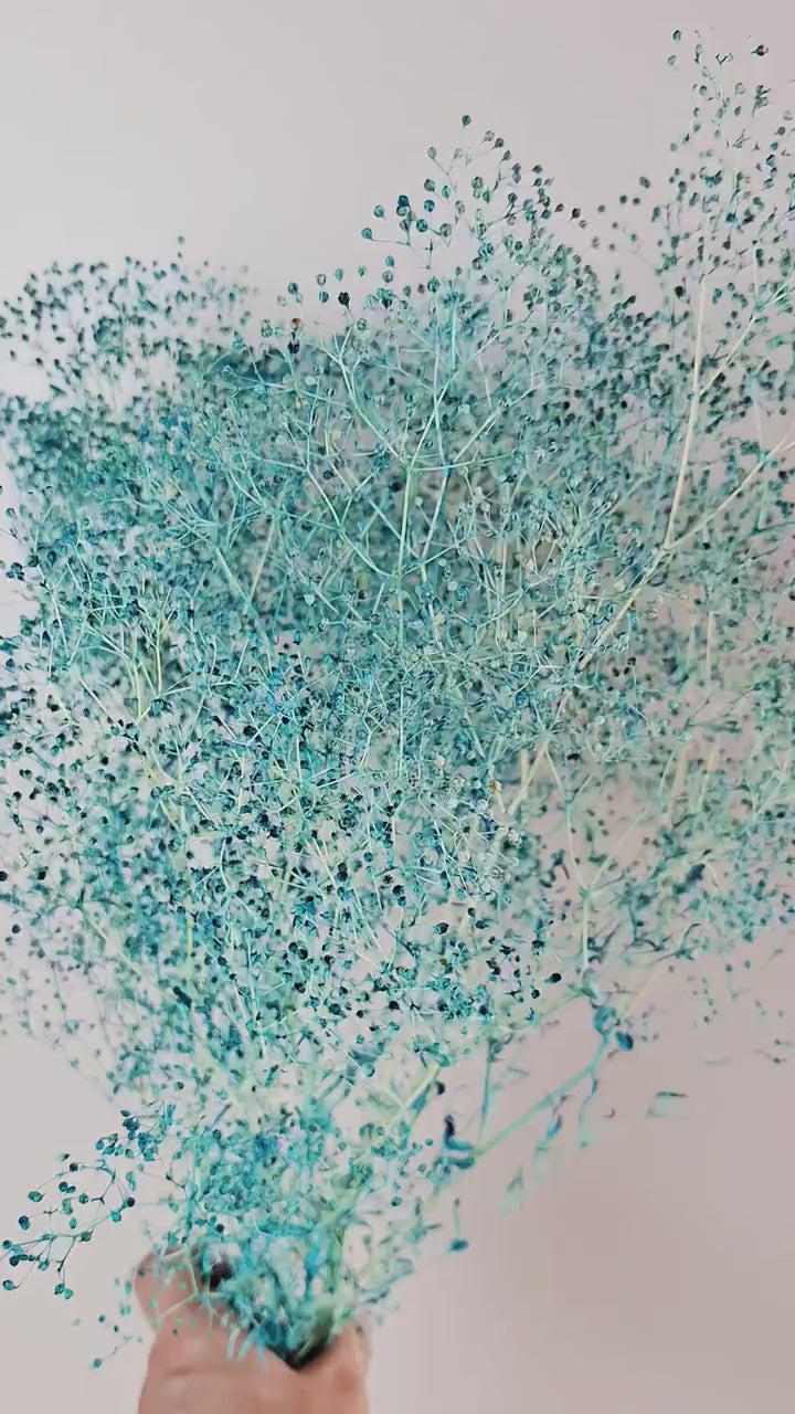 Blue Dried Gypsophila Stems | Turquoise Baby's Breath | Preserved Flower Stems | Florist Supply | Floral Craft Material
