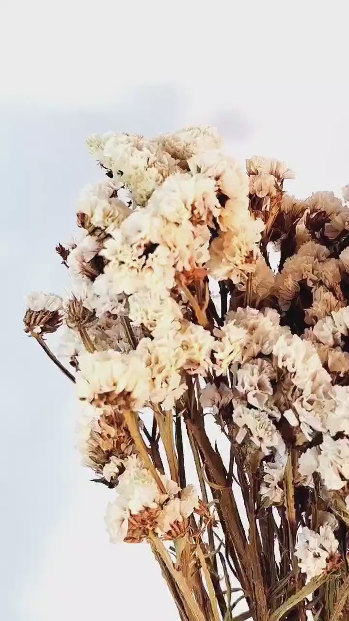 White Statice Bouquet | Dried Limonium Arrangement | Neutral Botanical Decor | Minimalist Scandi Style