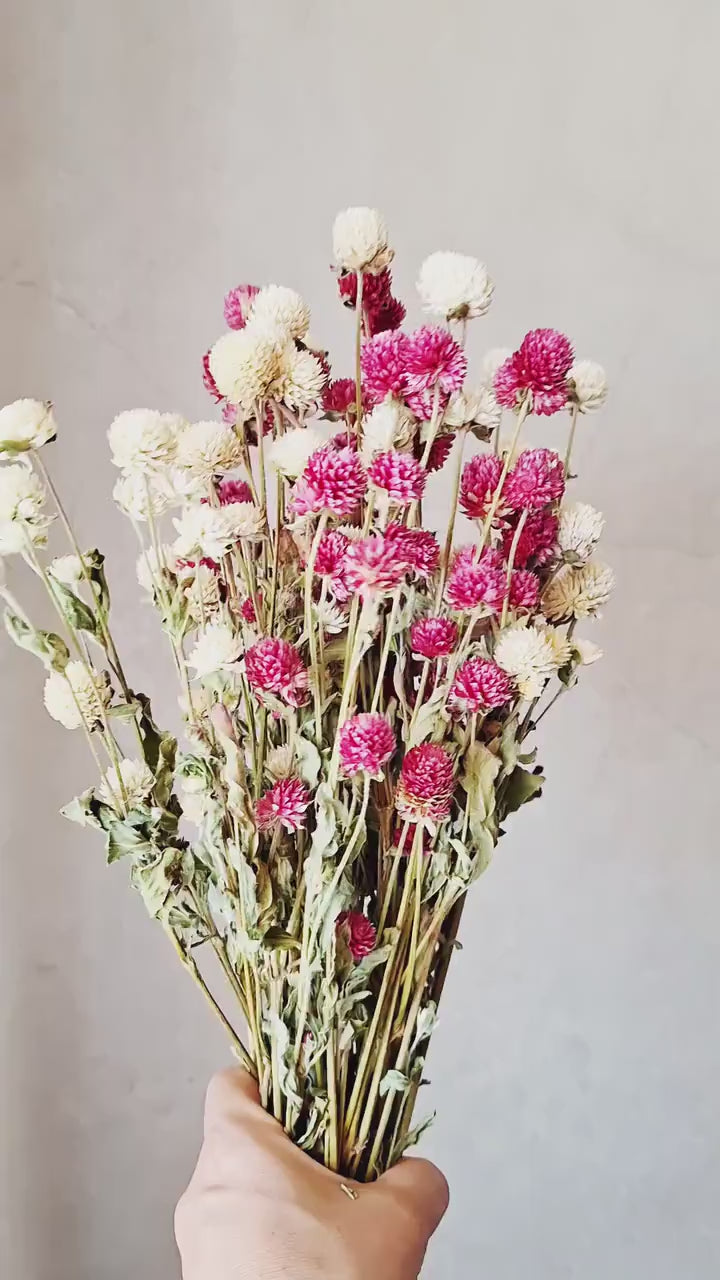 Dried Gomphrena Bouquet | Preserved Flower Bouquet | Pink Botanical Decor | Minimalist Scandi Arrangement | Neutral Vase Decor