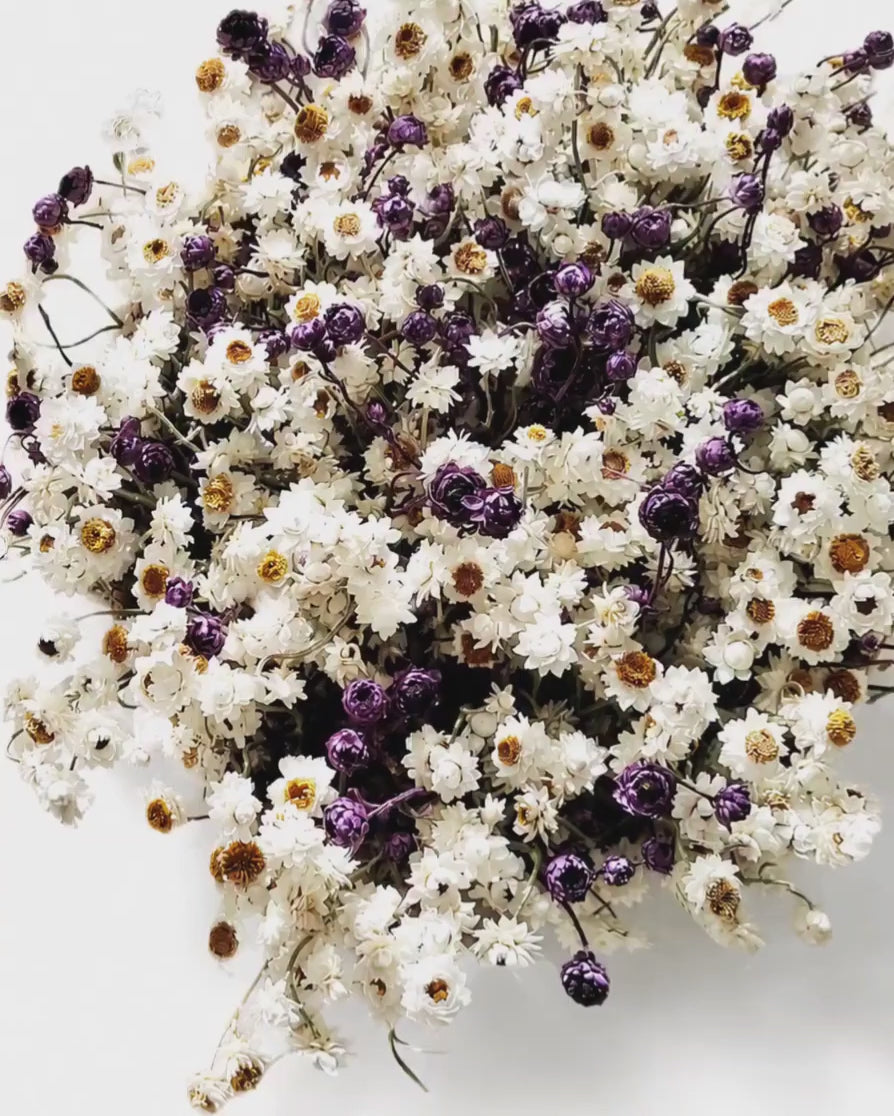 Dried & Preserved Ammobium Basket Arrangement - White & Purple Decor