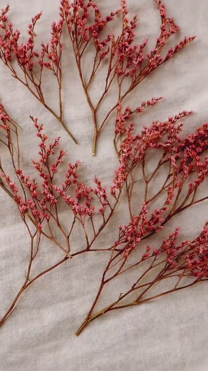Dried Flowers for Crafts | Stabilized Tatarian Limonium | Floral Supply | Botanical Material