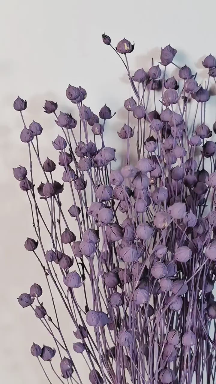 Purple Dried Flax Stems, Preserved Flax Bundle, Lavender Dried Flowers, Florist Supply, Dried Botanical Stems