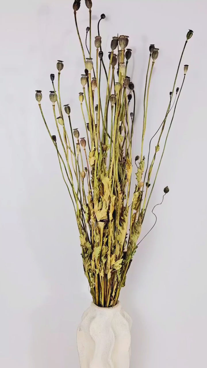 Natural Dried Poppy Pods Bouquet