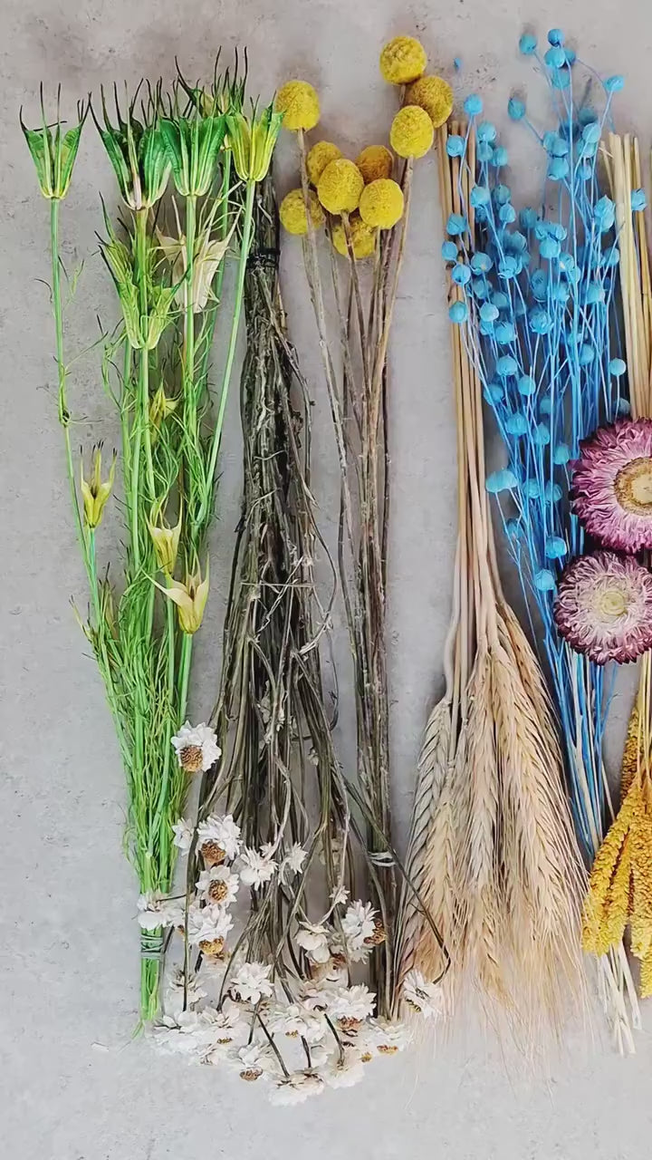 Dried Flower Box, DIY Dried Flower Box, Floral Craft Kit, Dried Flower Mix, Florist Supplies, Dried Flowers for Crafts