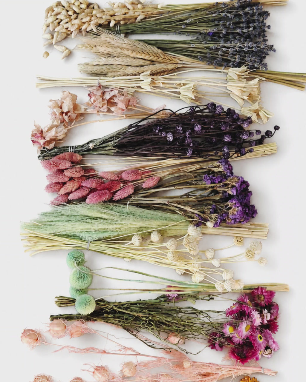 Dried Flower Box