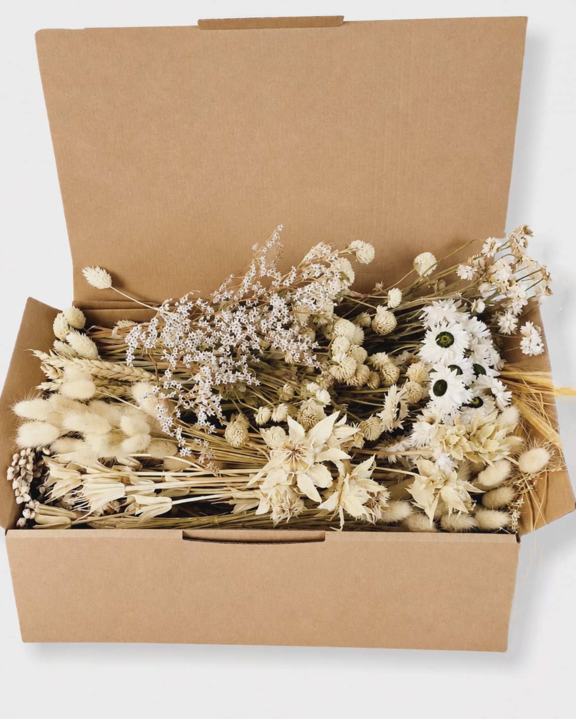Natural Dried Flower Box for Crafts