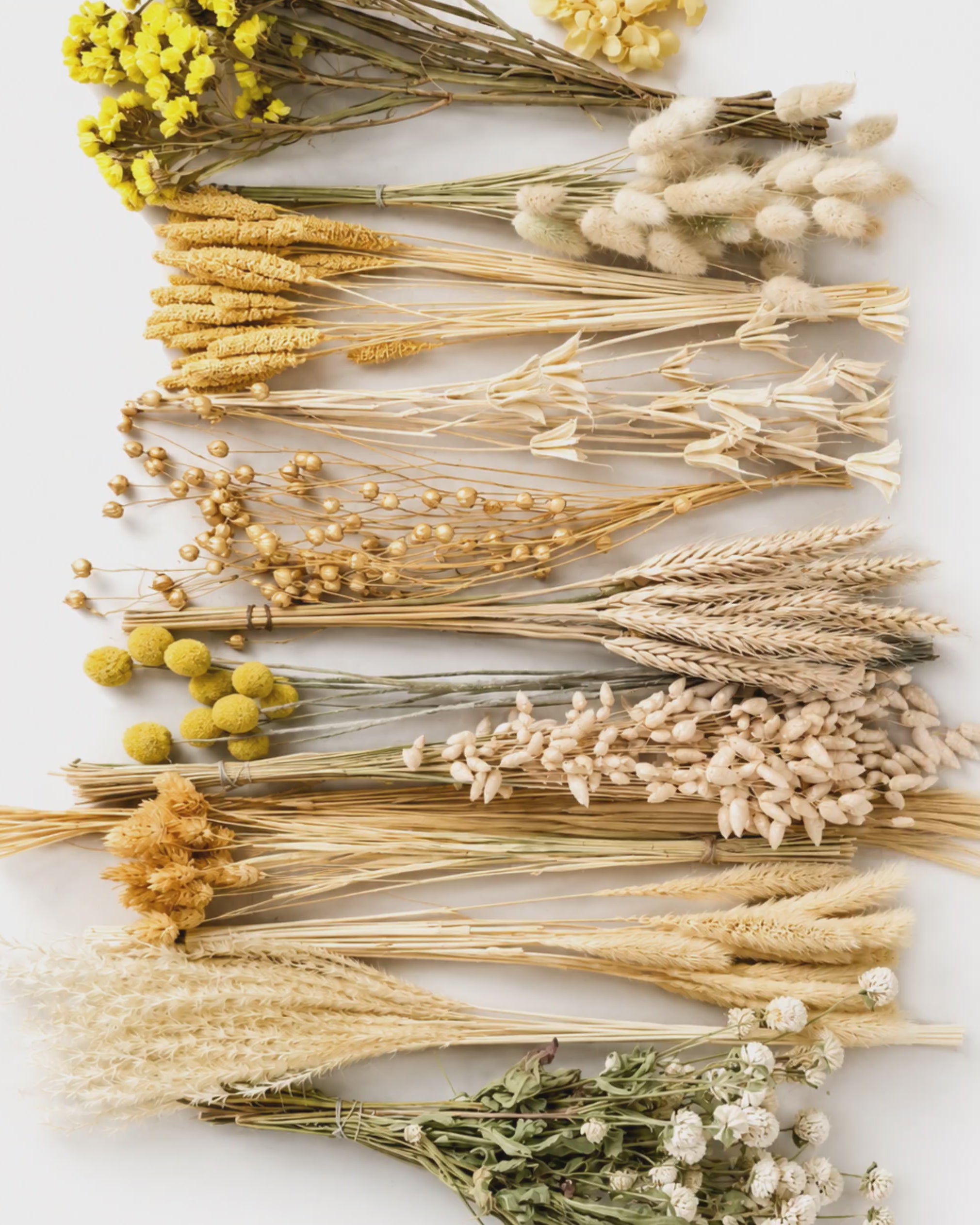 Yellow Beige Dried Flower Box