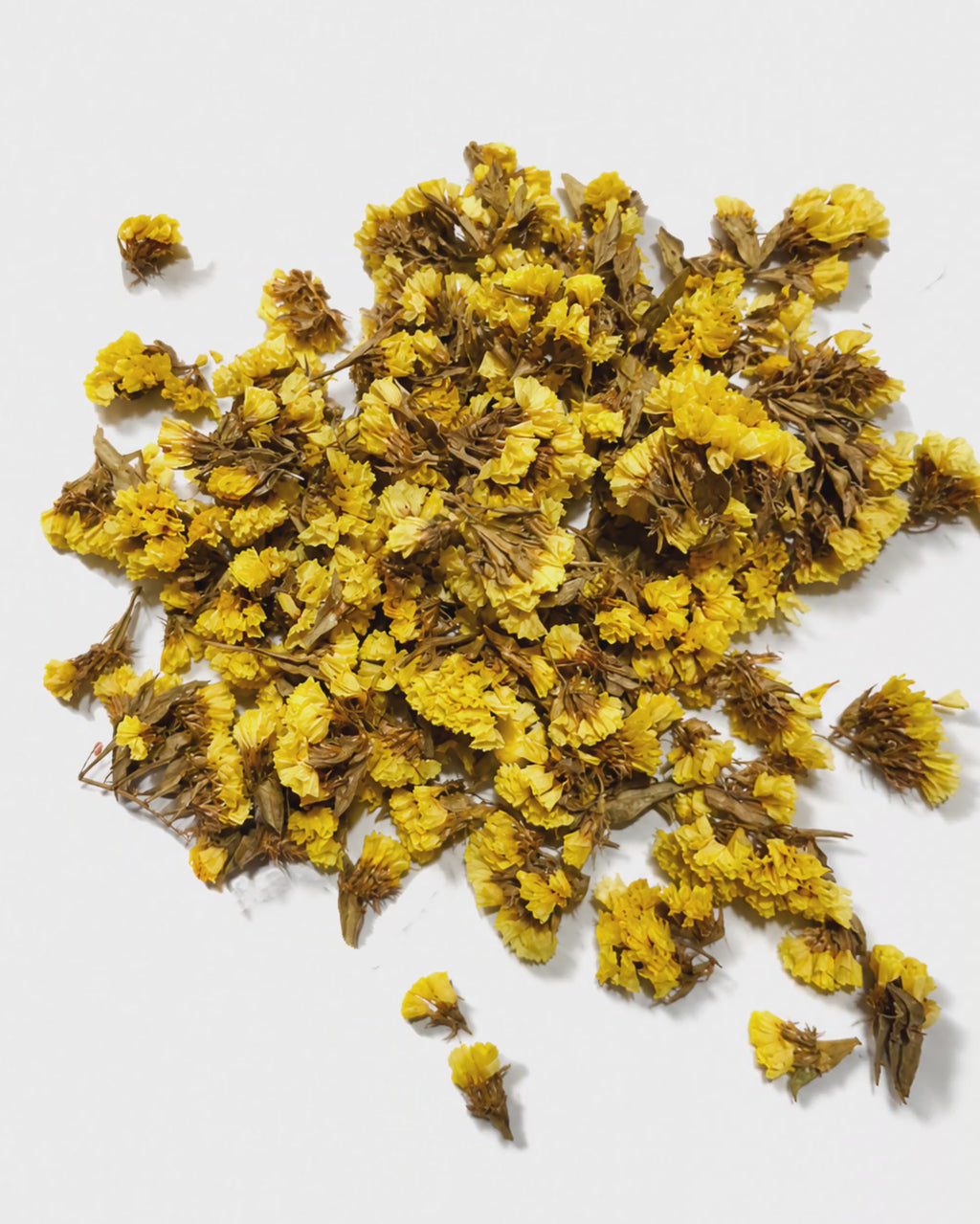 Dried Yellow Statice Flower Heads - Loose Limonium Blooms