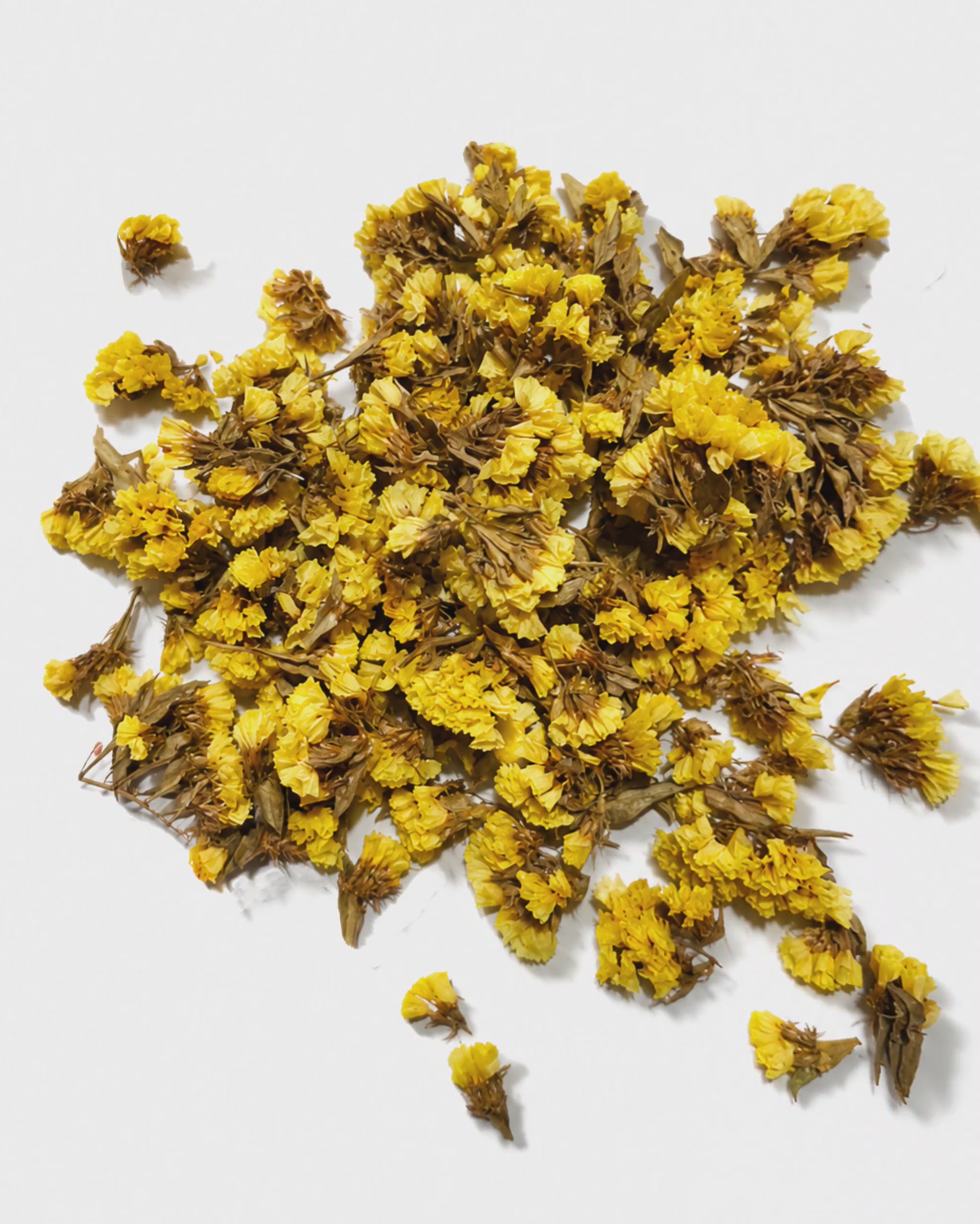 Dried Yellow Statice Flower Heads - Loose Limonium Blooms