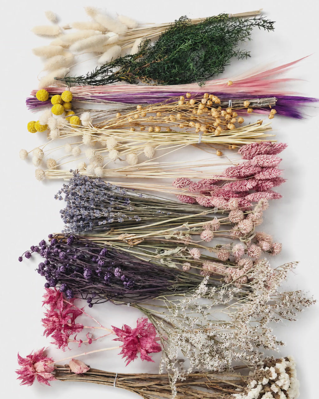 Pastel Dried Flower Box for Crafts